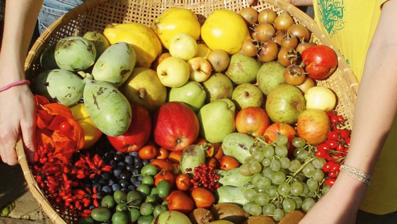 Alchemistenpark Kirchberg am Wagram, © Siegfried Tatschl Alchemistenpark Kirchberg am Wagram, © Siegfried Tatschl