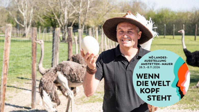 Straussenhof Ebner, © Robert Alexander Herbst Ein Mann mit Hut hält ein Straußenei, im Hintergrund sind Strauße zu sehen. Ein Logo der NÖ Landesausstellung 2026 ist eingeblendet.