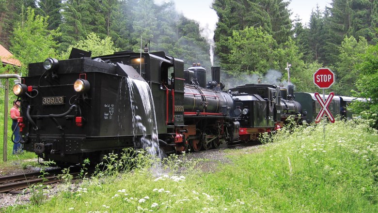 Waldviertelbahn, © Hannes Scherney Dampflokomotive der Waldviertelbahn wird im Wald mit Wasser befüllt.