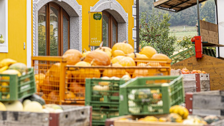 Kürbishof Metz, © Uschi Wolf Bunte Kürbisse vor einem gelben Gebäude mit dekorativen Fensterrahmen.