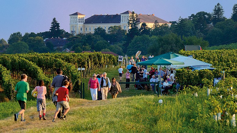 Genussmeile - die längste Schank der Welt, © Lois Lammerhuber Menschen spazieren durch Weinberge bei einem Fest mit Zelten und Tischen.
