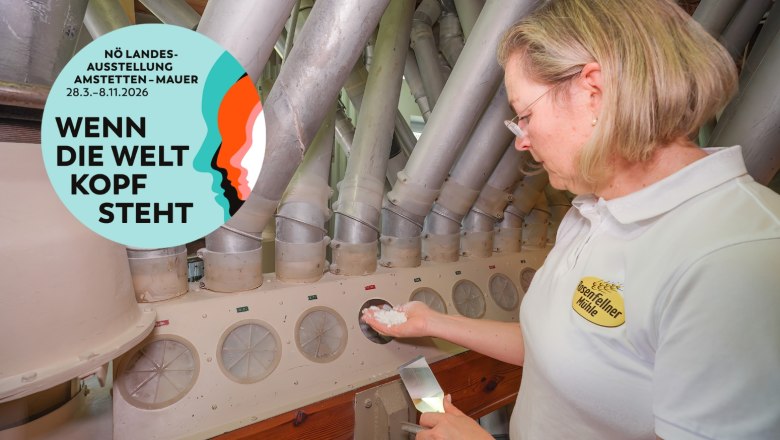 Rosenfellner Mühle, © Filmgut Thomas Zeller Eine Frau in einem weißen Polohemd mit dem Logo der Rosenfellner Mühle prüft Mehl in einer Mühle. Ein Plakat der NÖ Landesausstellung ist eingeblendet.