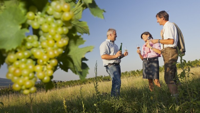 Weinverkostung, © Rainer Mirau Drei Personen bei einer Weinverkostung im Weinberg mit Trauben im Vordergrund.
