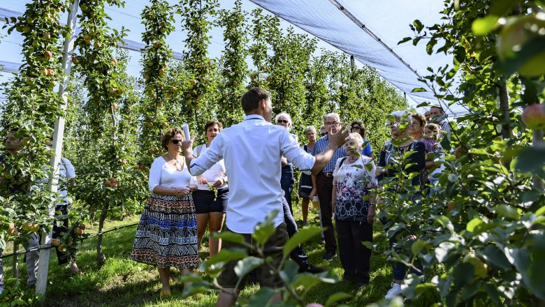 Simon Obstplantage, © Most Michl Eine Gruppe von Menschen steht in einer Obstplantage unter einem Netz, während ein Mann ihnen etwas erklärt.