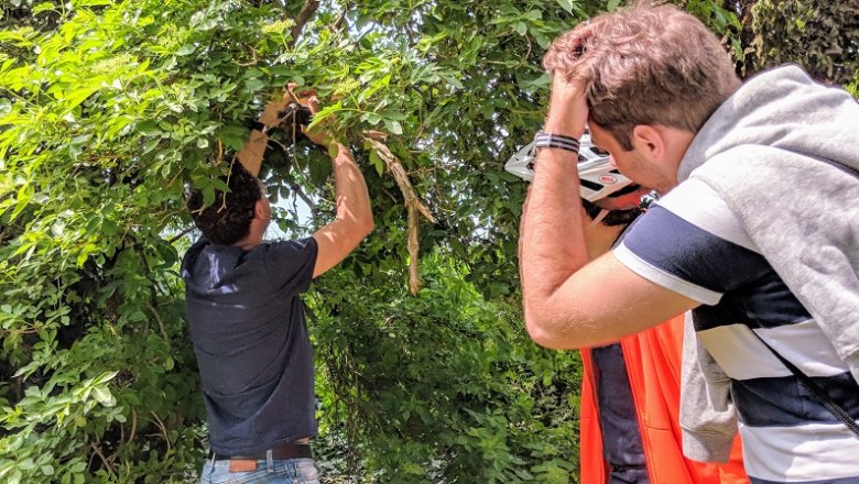 Geocaching, © teaminprogress Personen suchen in einem Baum nach einem Geocache.