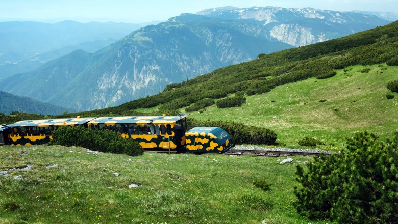 Schneebergbahn, © NÖVOG/weinfranz Eine gelb-blaue Bahn fährt durch eine grüne Berglandschaft mit Bergen im Hintergrund.