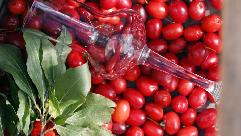 Dirndl, © weinfranz.at Ein Weinglas liegt auf roten Früchten und grünen Blättern.