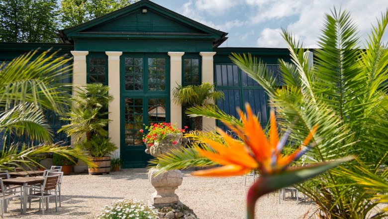 Nahaufnahme eines Gartens mit exotischen Pflanzen und einem historischen Geb&auml;ude im Hintergrund.