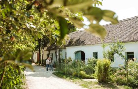 Zwei Personen spazieren auf einem Weg im Museumsdorf Niedersulz, umgeben von Bäumen und einem traditionellen Gebäude.