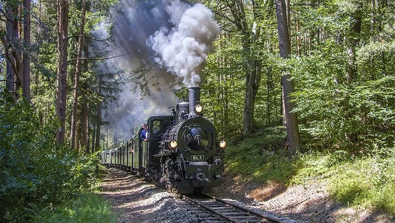 Dampflok der Waldviertelbahn fährt durch einen Wald.