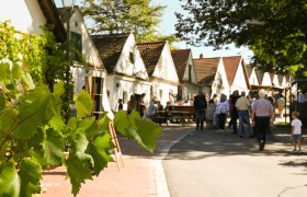 Falkenstein_Kellergassenfest, &copy; WTG_Lisa Sedlatschek
