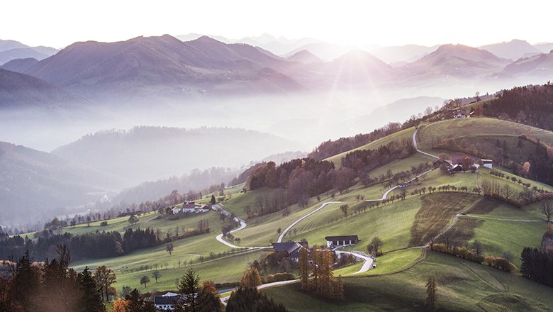 Panoramablick auf h&uuml;gelige Landschaft mit Wiesen, B&auml;umen und Stra&szlig;en im Morgenlicht.