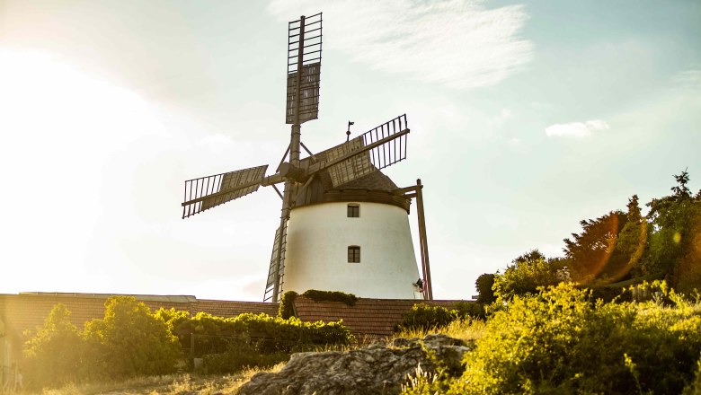 Windmühle Retz, © Weinviertel Tourismus