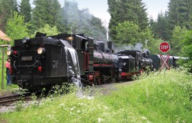Dampflokomotive der Waldviertelbahn wird im Wald mit Wasser befüllt.