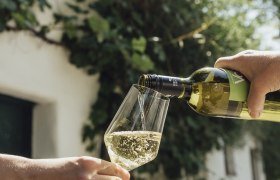 Poysdorf Radweg Wein, &copy; WTG/Sophie Menegaldo 