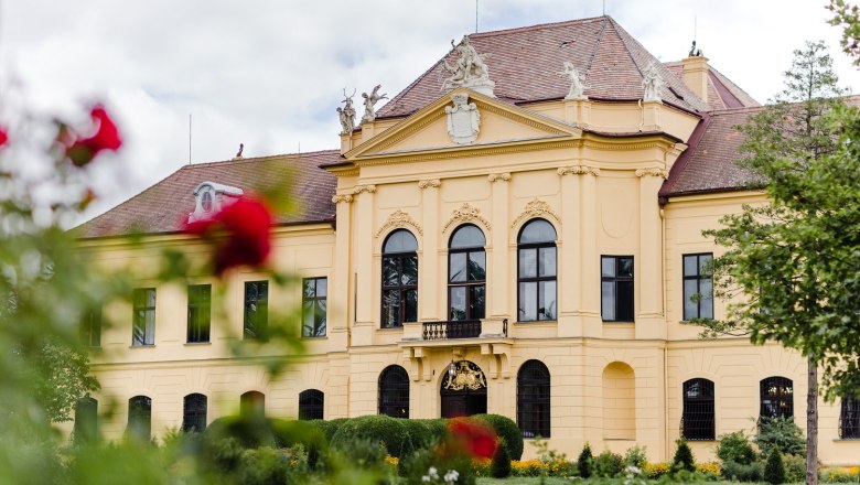 Schloss Eckartsau, © Daniela Porwol