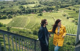 Weinherbst Traisental, &copy; Nieder&ouml;sterreich Werbung/Ian Ehm