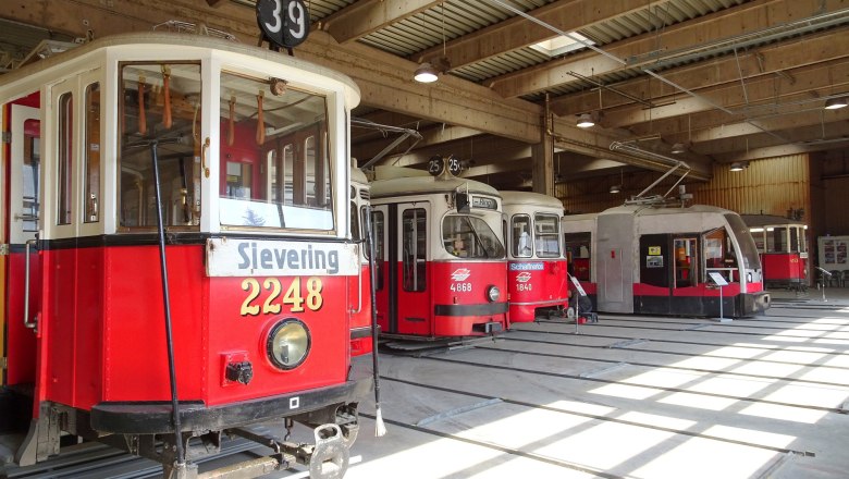 Innenansicht eines Depots mit mehreren historischen Stra&szlig;enbahnen in Traiskirchen.