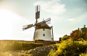 Windmühle in Retz bei Sonnenuntergang mit grüner Vegetation im Vordergrund.
