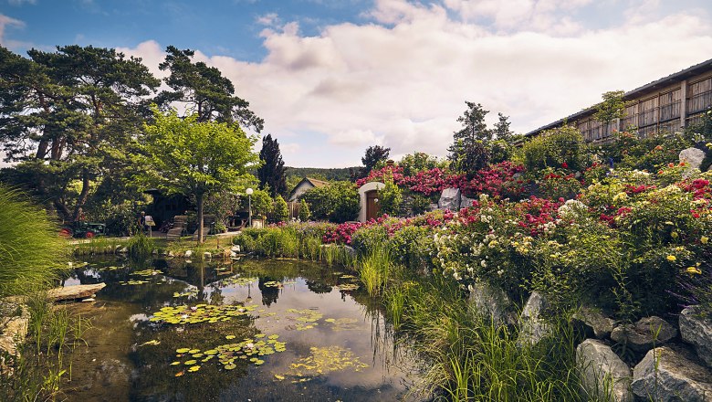 Ein malerischer Garten mit Teich, bunten Blumen und Bäumen unter einem blauen Himmel.