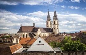 Blick auf die Stadt Wiener Neustadt mit einer Kirche und dem Stadtmuseum im Vordergrund.