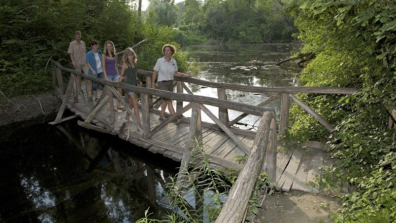 Gruppe von Menschen auf einer Holzbrücke im Wald.