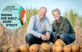 Zwei Personen knien hinter einer Reihe von Kürbissen auf einem Feld. Ein Logo der NÖ Landesausstellung ist links im Bild.