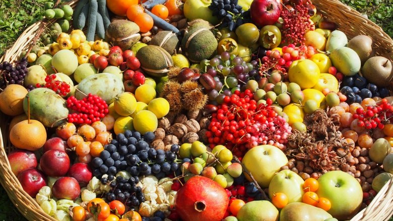 Ein gro&szlig;er Korb voller verschiedener bunter Fr&uuml;chte auf Gras.