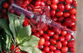 Ein Weinglas liegt auf roten Fr&uuml;chten und gr&uuml;nen Bl&auml;ttern.