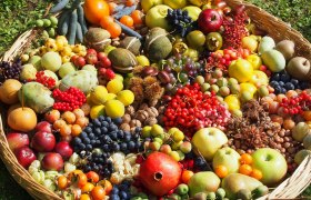 Ein gro&szlig;er Korb voller verschiedener bunter Fr&uuml;chte auf Gras.