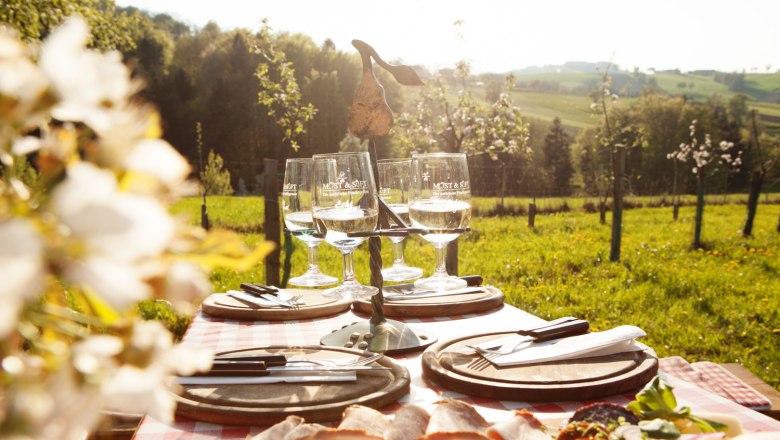 Ein gedeckter Tisch im Freien mit Weingläsern und Wurstplatte vor einer grünen Landschaft.