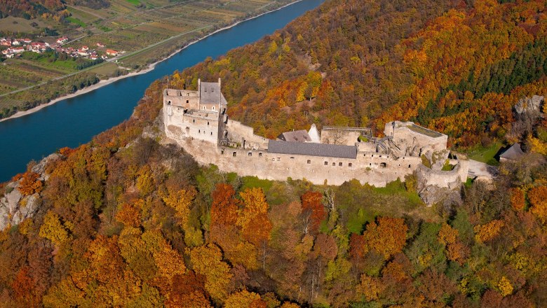 Luftaufnahme der Ruine Aggstein inmitten herbstlicher W&auml;lder mit Blick auf die Donau.
