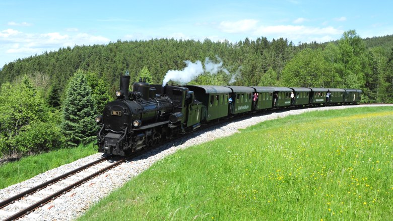 Eine historische Dampflokomotive zieht grüne Waggons der Waldviertelbahn durch eine grüne Landschaft mit Wiesen und Wäldern.
