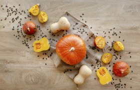 K&uuml;rbis, &copy; Astrid Bartl